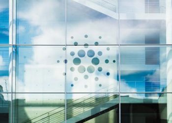 IOHK’s new KEVM devnet opens up Cardano for Ethereum developers