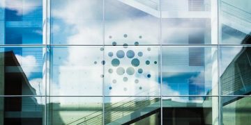 IOHK’s new KEVM devnet opens up Cardano for Ethereum developers