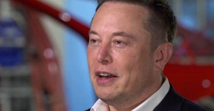 Musk’s Doge, Bitcoin Tweets May Spur Double-Digit Returns