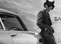 AlphaWolf Finance