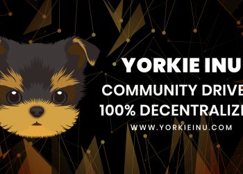 Yorkie Inu
