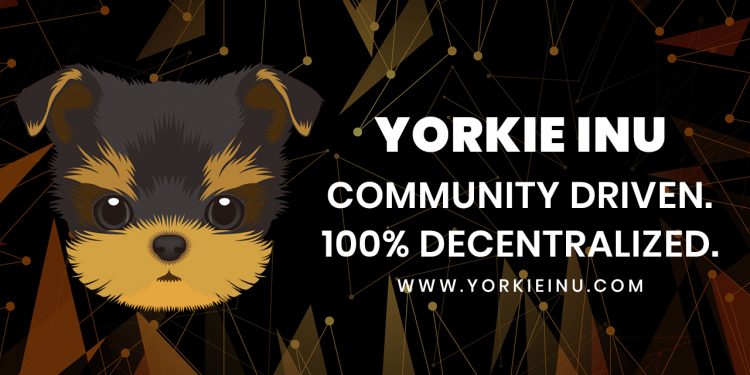Yorkie Inu