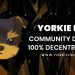 Yorkie Inu