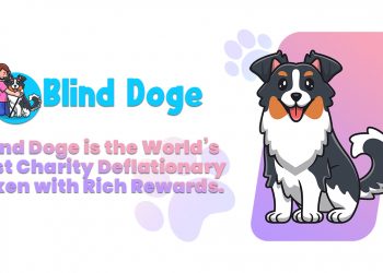 Blind Doge
