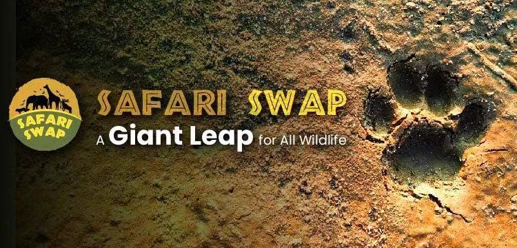 safariswap