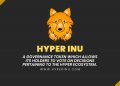 hyper inu