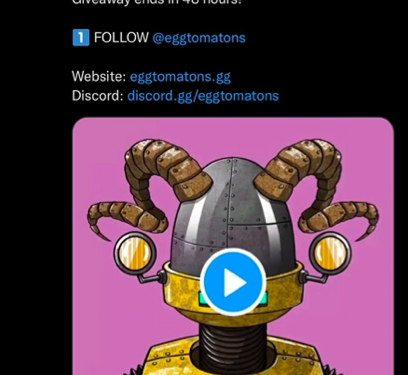 The mysterious NFT influencer-Nick