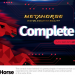 Metahorse Complete Guide: Play-2-Earn with MetaHorse Gamefi