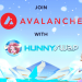 HunnySwap Just Released Its DEX On Avalanche