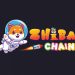 Shiba Chain All Set to Transform the Crypto Space for Good