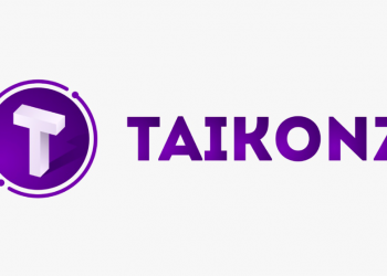 Taikonz is the Next Big Thing in the Blockchain Space
