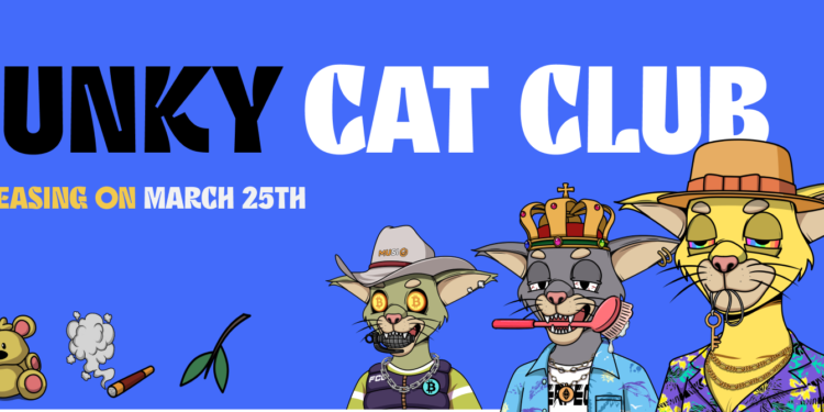 Funky Cat Club – The Must-Have Collectible in 2023