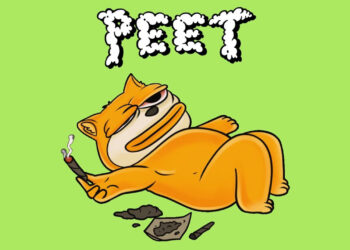 Community Takes Over and Revives Solana-Based Memecoin, Peet