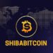 ShibaBitcoin—Redefining Everyday Cryptocurrency Transactions