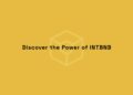 Discover the Power of INTBNB: A New Era in Staking and Rewards