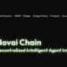 Novai Chain Deploys DeepSeek 70B Large Model