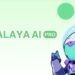 Alaya AI Pro: Leading the Autonomous Driving Data Revolution