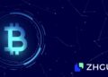 Globalisation and Localisation: The Strategic Ecosystem Partnerships of ZHGUI Exchange