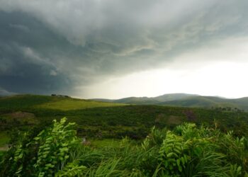 FG Capital Advisors Opens Private Round for Tokenized Carbon “Stream” Financing – Pre‑Launch SAFEs Now Available