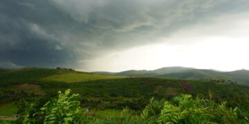 FG Capital Advisors Opens Private Round for Tokenized Carbon “Stream” Financing – Pre‑Launch SAFEs Now Available