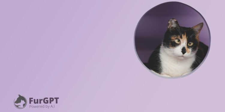 FurGPT (FGPT) Foundation Stops Theft of $55M Worth of Solana (SOL) Tokens