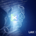 LAX Introduces Adaptive Payment Layer to Power Next-Generation Web3 Transactions