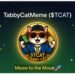 The Purr-fect Wave: How TabbyCatMeme ($TCAT) is Redefining the Meme Coin Game on Solana